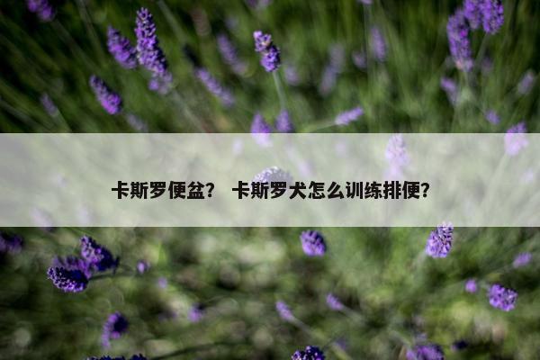 卡斯罗便盆？ 卡斯罗犬怎么训练排便？