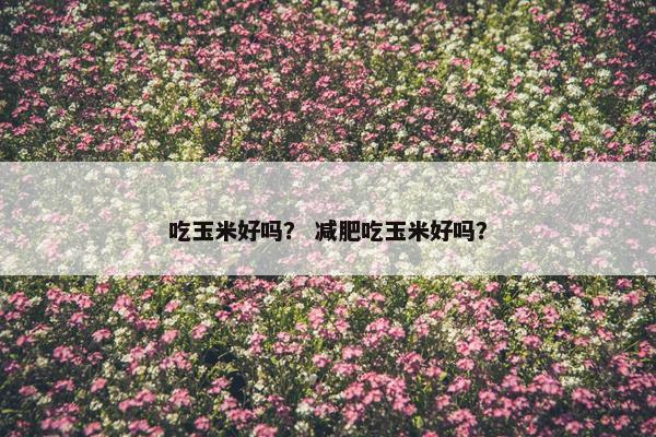 吃玉米好吗？ 减肥吃玉米好吗？