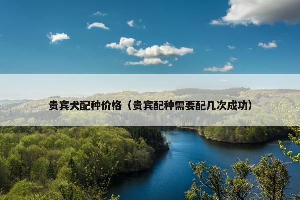 贵宾犬配种价格（贵宾配种需要配几次成功）