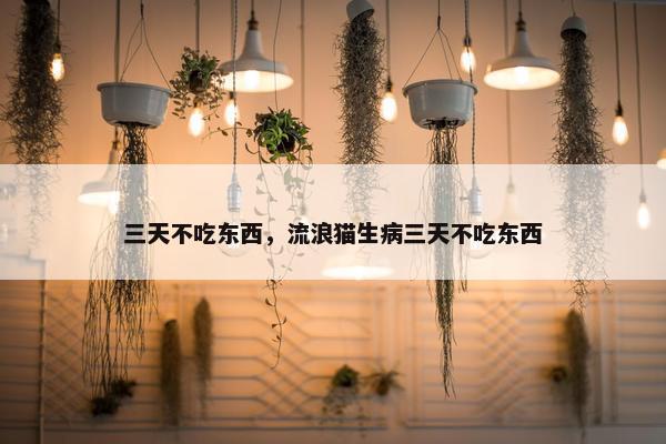 三天不吃东西，流浪猫生病三天不吃东西