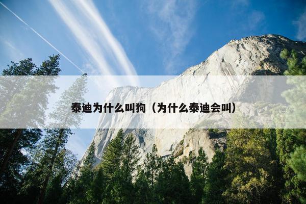 泰迪为什么叫狗（为什么泰迪会叫）