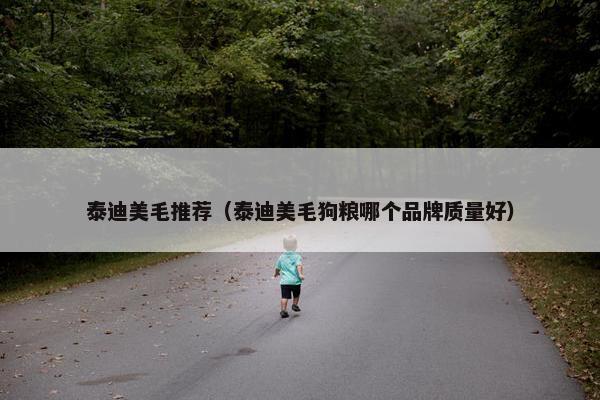 泰迪美毛推荐（泰迪美毛狗粮哪个品牌质量好）