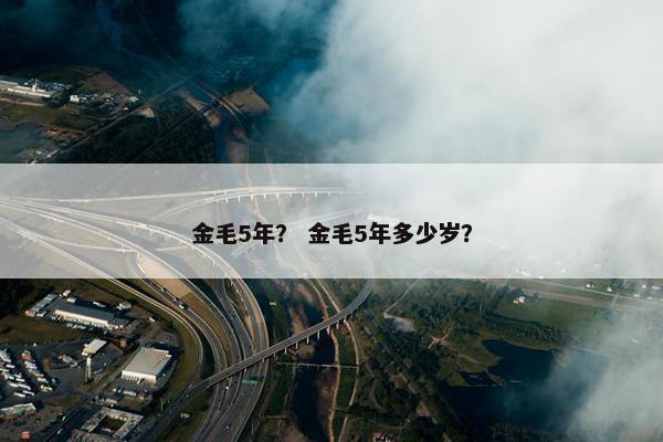 金毛5年？ 金毛5年多少岁？