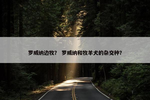 罗威纳边牧？ 罗威纳和牧羊犬的杂交种？