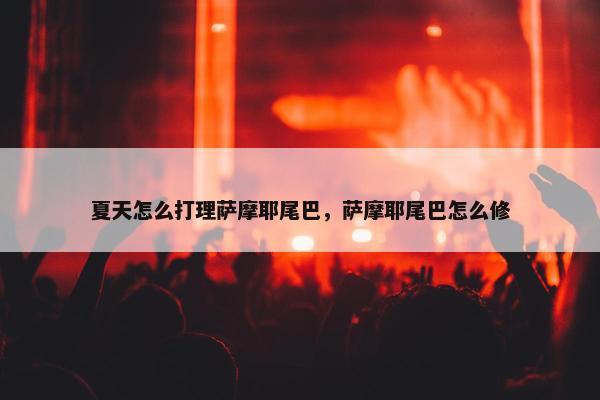夏天怎么打理萨摩耶尾巴，萨摩耶尾巴怎么修