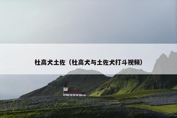 杜高犬土佐（杜高犬与土佐犬打斗视频）