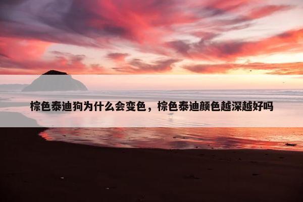 棕色泰迪狗为什么会变色，棕色泰迪颜色越深越好吗