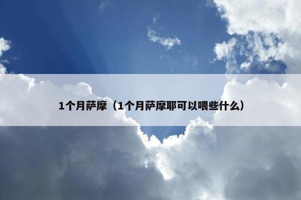 1个月萨摩（1个月萨摩耶可以喂些什么）