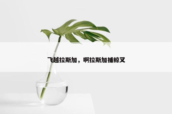 飞越拉斯加，啊拉斯加捕鲸叉