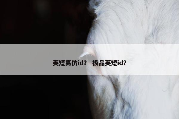 英短高仿id？ 极品英短id？