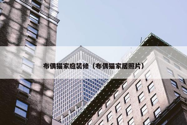 布偶猫家庭装修（布偶猫家居照片）