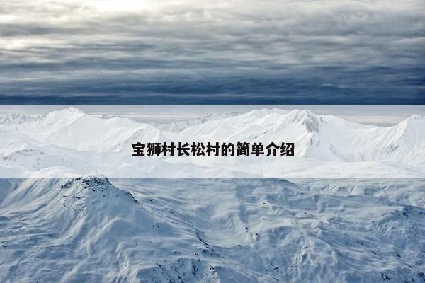 宝狮村长松村的简单介绍
