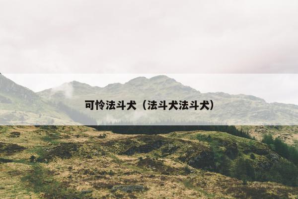 可怜法斗犬（法斗犬法斗犬）