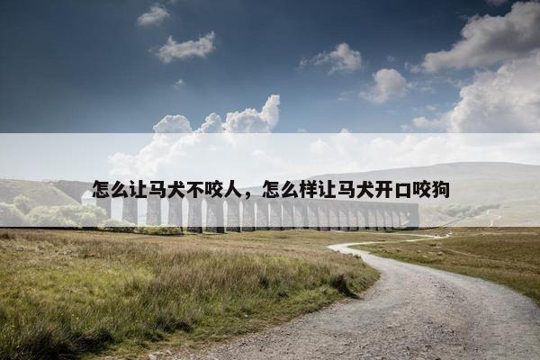 怎么让马犬不咬人，怎么样让马犬开口咬狗