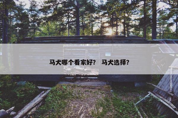 马犬哪个看家好？ 马犬选择？