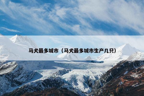 马犬最多城市（马犬最多城市生产几只）