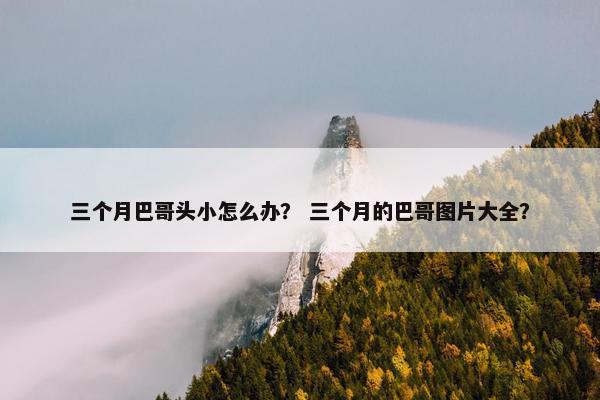 三个月巴哥头小怎么办？ 三个月的巴哥图片大全？