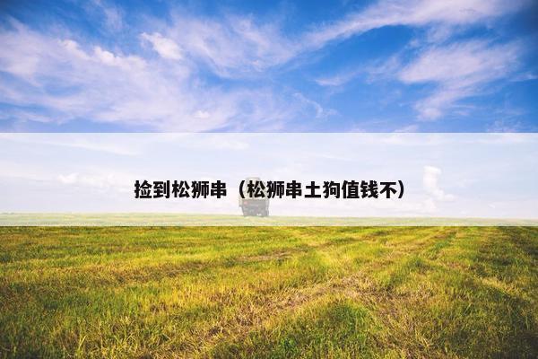 捡到松狮串（松狮串土狗值钱不）