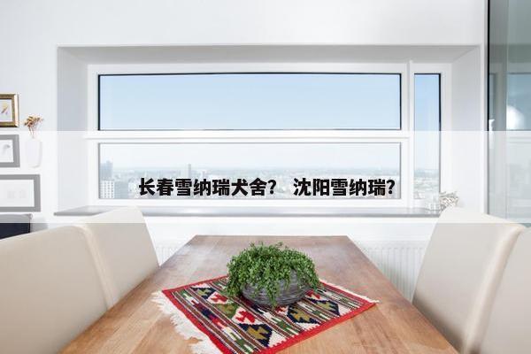 长春雪纳瑞犬舍？ 沈阳雪纳瑞？