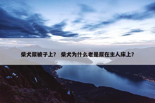 柴犬尿被子上？ 柴犬为什么老是尿在主人床上？