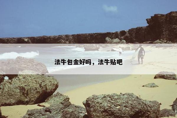 法牛包金好吗，法牛贴吧