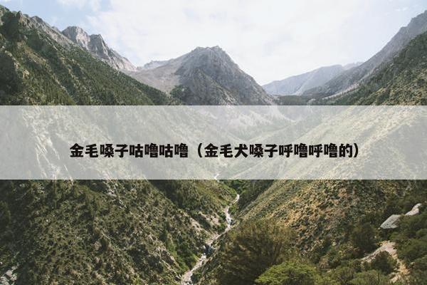 金毛嗓子咕噜咕噜（金毛犬嗓子呼噜呼噜的）