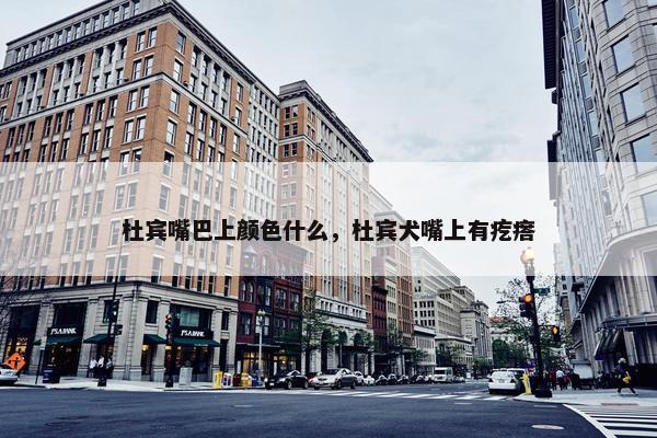 杜宾嘴巴上颜色什么，杜宾犬嘴上有疙瘩