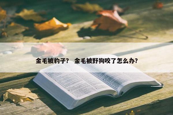 金毛被豹子？ 金毛被野狗咬了怎么办？