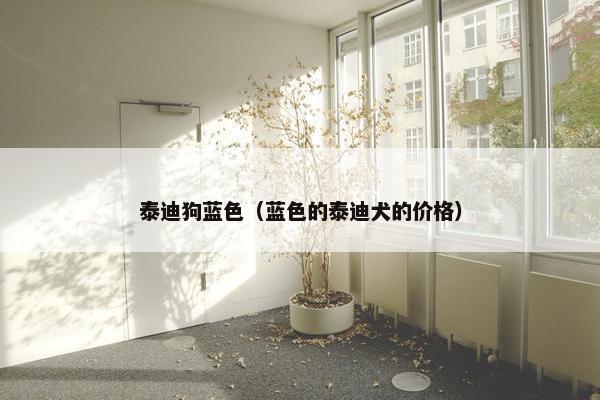 泰迪狗蓝色（蓝色的泰迪犬的价格）