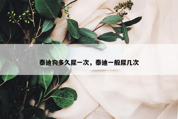 泰迪狗多久尿一次，泰迪一般尿几次