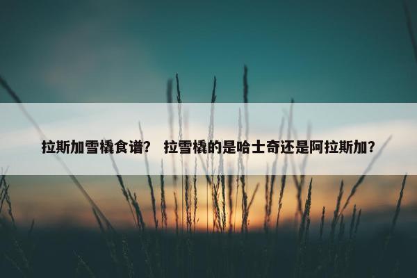 拉斯加雪橇食谱？ 拉雪橇的是哈士奇还是阿拉斯加？