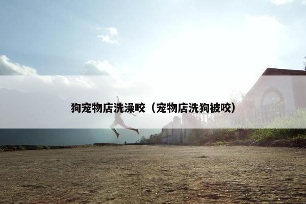 狗宠物店洗澡咬（宠物店洗狗被咬）