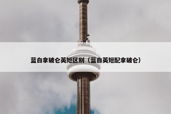 蓝白拿破仑英短区别（蓝白英短配拿破仑）