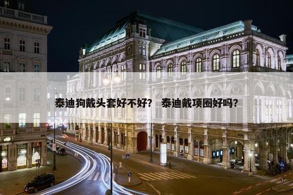 泰迪狗戴头套好不好？ 泰迪戴项圈好吗？