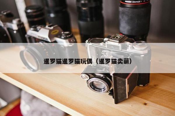 暹罗猫暹罗猫玩偶（暹罗猫卖萌）