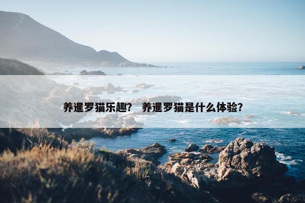 养暹罗猫乐趣？ 养暹罗猫是什么体验？