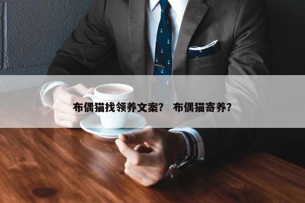 布偶猫找领养文案？ 布偶猫寄养？