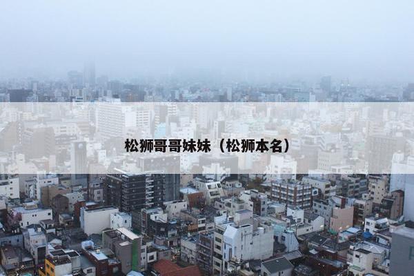 松狮哥哥妹妹（松狮本名）