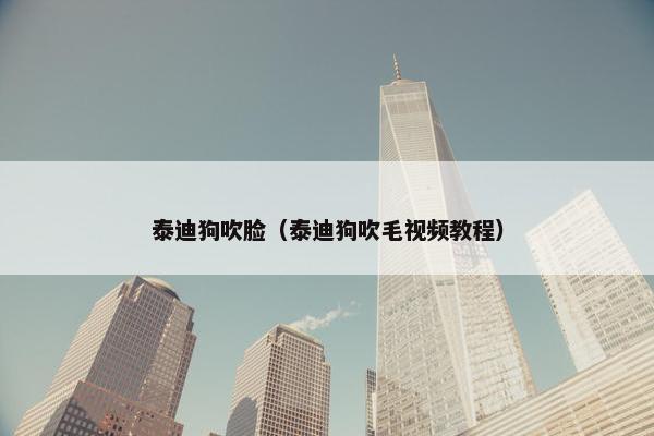 泰迪狗吹脸（泰迪狗吹毛视频教程）