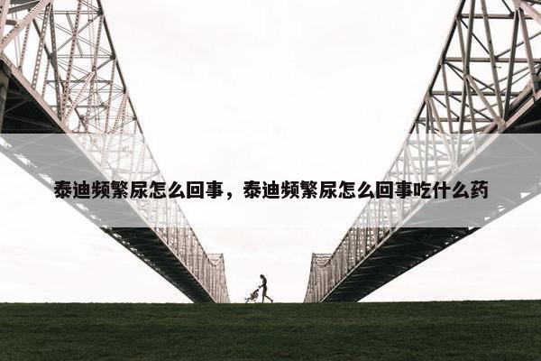 泰迪频繁尿怎么回事，泰迪频繁尿怎么回事吃什么药