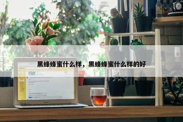 黑蜂蜂蜜什么样，黑蜂蜂蜜什么样的好