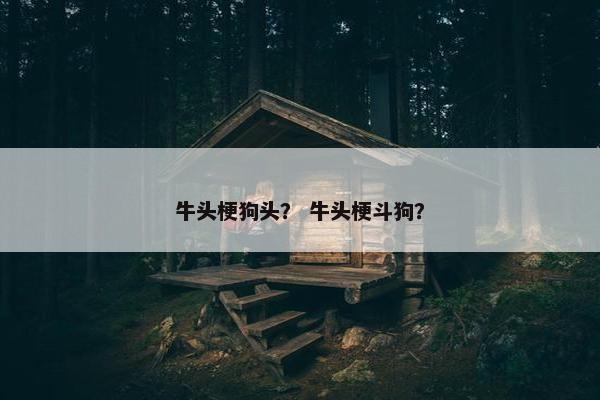 牛头梗狗头？ 牛头梗斗狗？