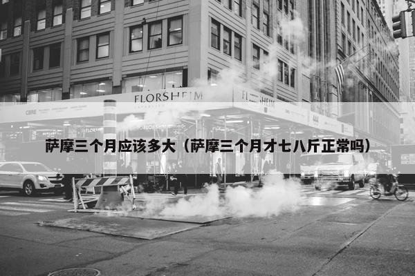 萨摩三个月应该多大（萨摩三个月才七八斤正常吗）