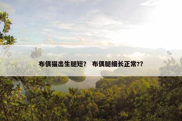 布偶猫出生腿短？ 布偶腿细长正常?？