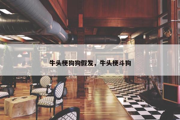 牛头梗狗狗假发，牛头梗斗狗