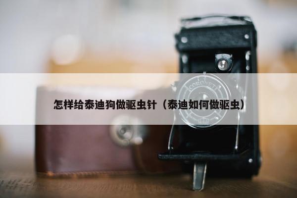 怎样给泰迪狗做驱虫针（泰迪如何做驱虫）