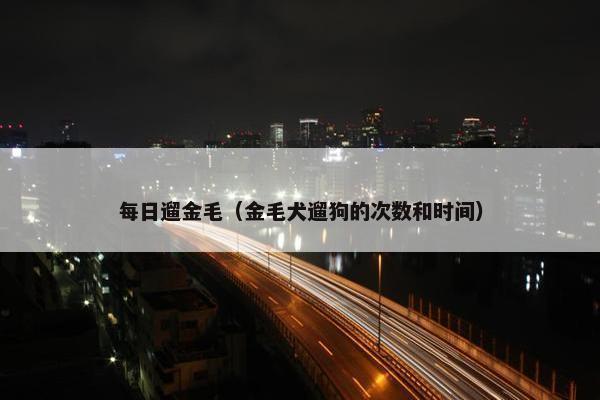 每日遛金毛（金毛犬遛狗的次数和时间）