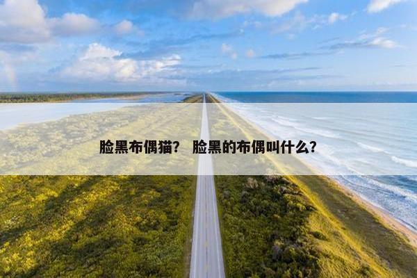 脸黑布偶猫？ 脸黑的布偶叫什么？