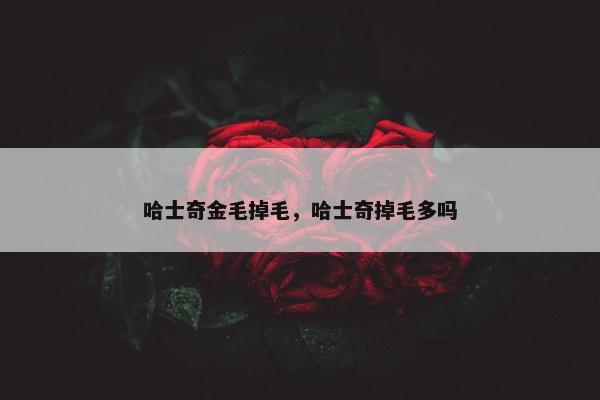 哈士奇金毛掉毛，哈士奇掉毛多吗