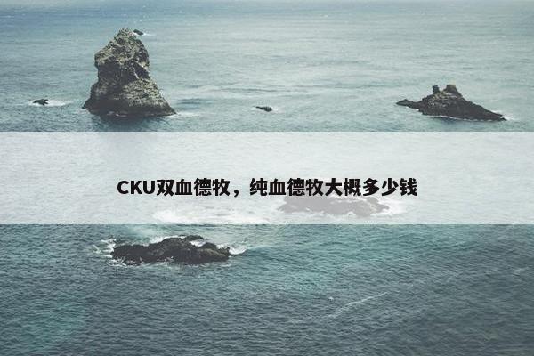 CKU双血德牧，纯血德牧大概多少钱